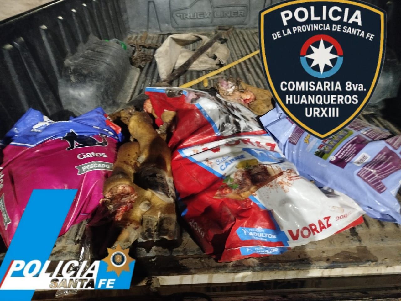 Interceptaron una camioneta con varios cortes cárnicos envueltos en bolsas y sin documentación