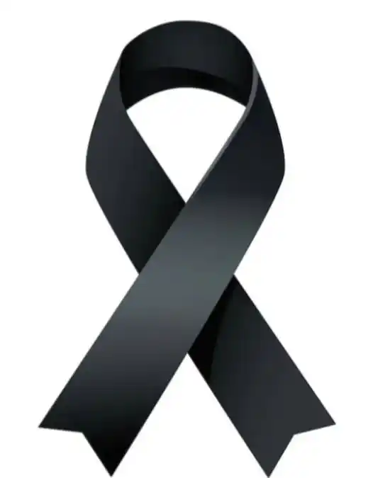 lazo
