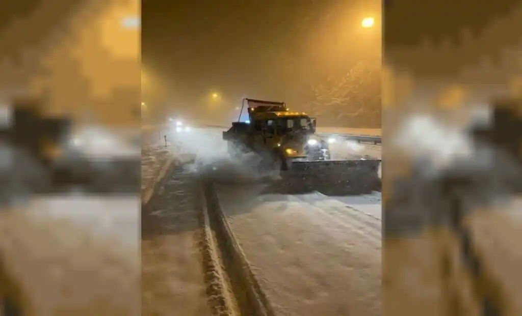 Ola de frío polar en Florida
