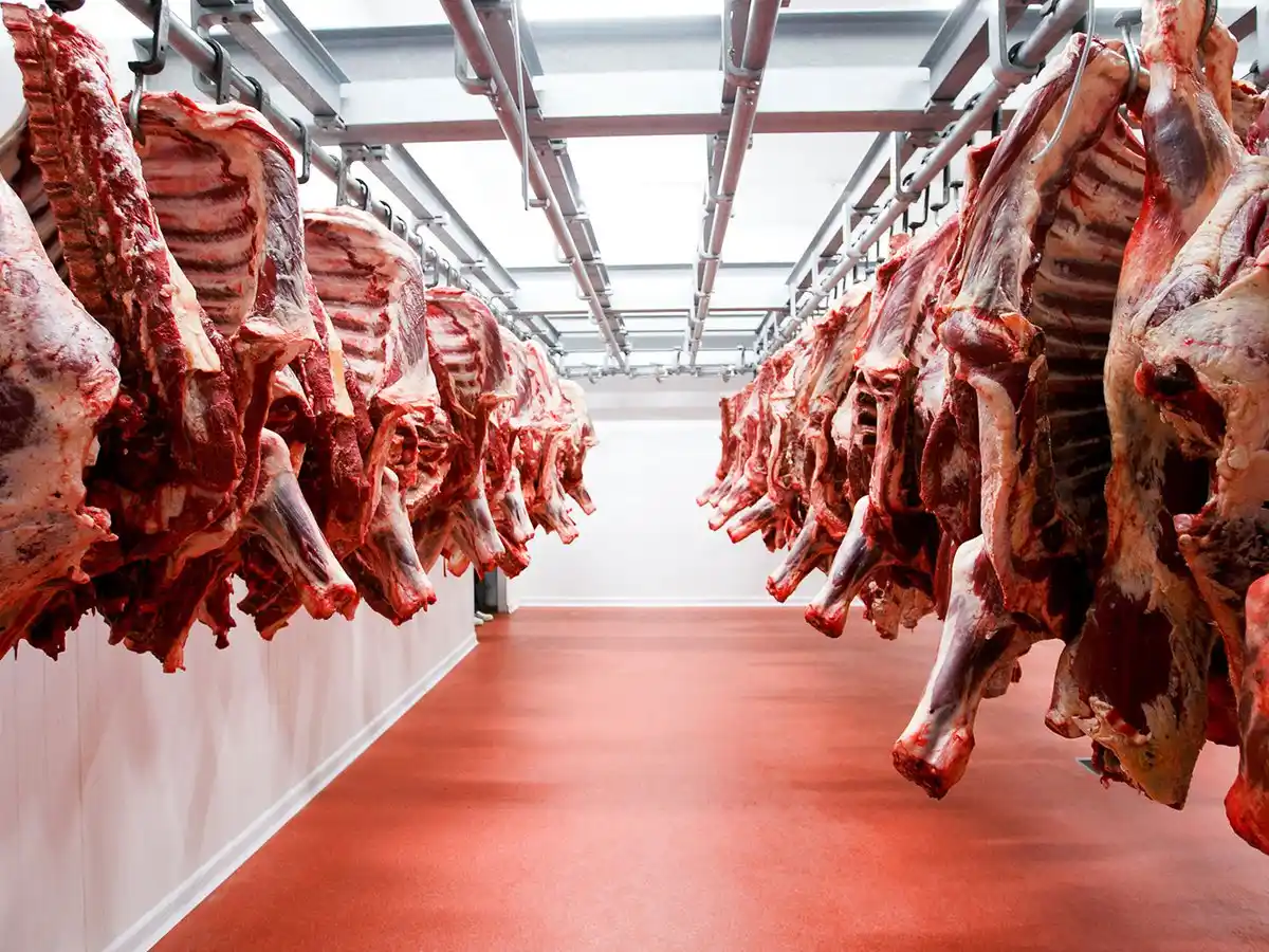 Crecen las exportaciones de carne argentina por la demanda récord de China