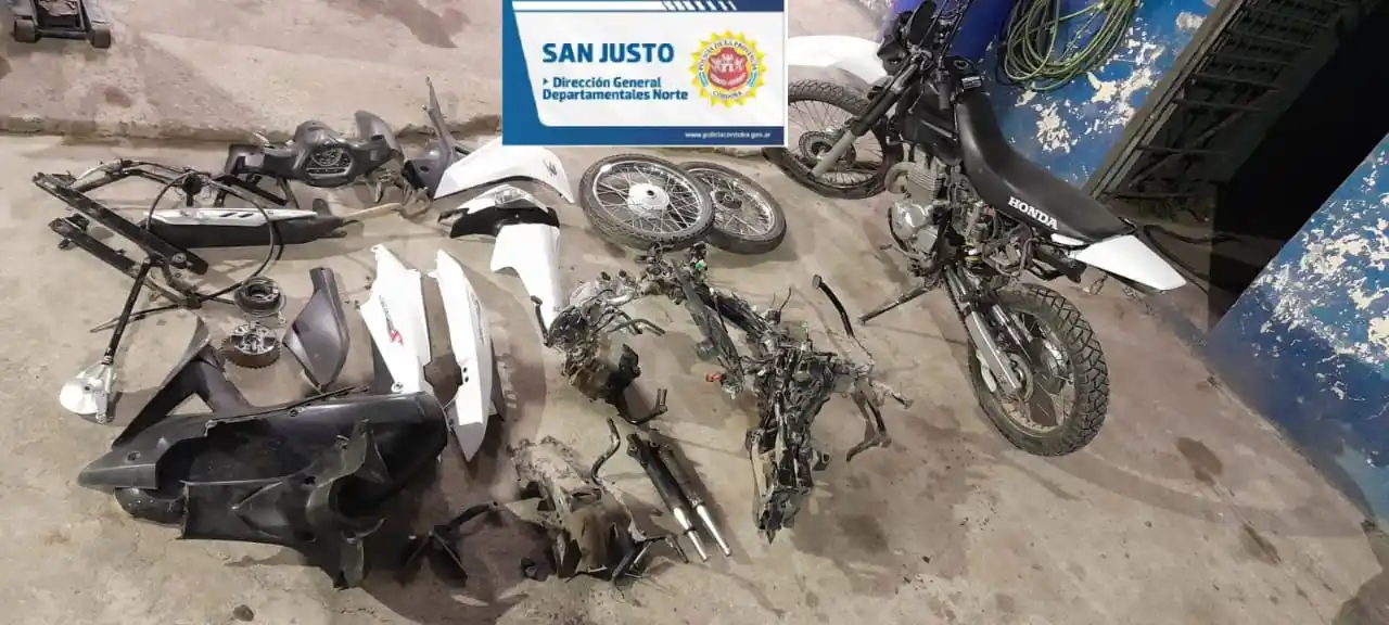 Los robos se produjeron en diferentes fechas del corriente año.