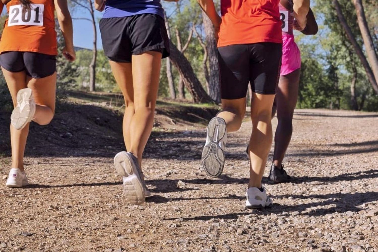 El 17 de noviembre se realizará la primera Maratón de Malvinas