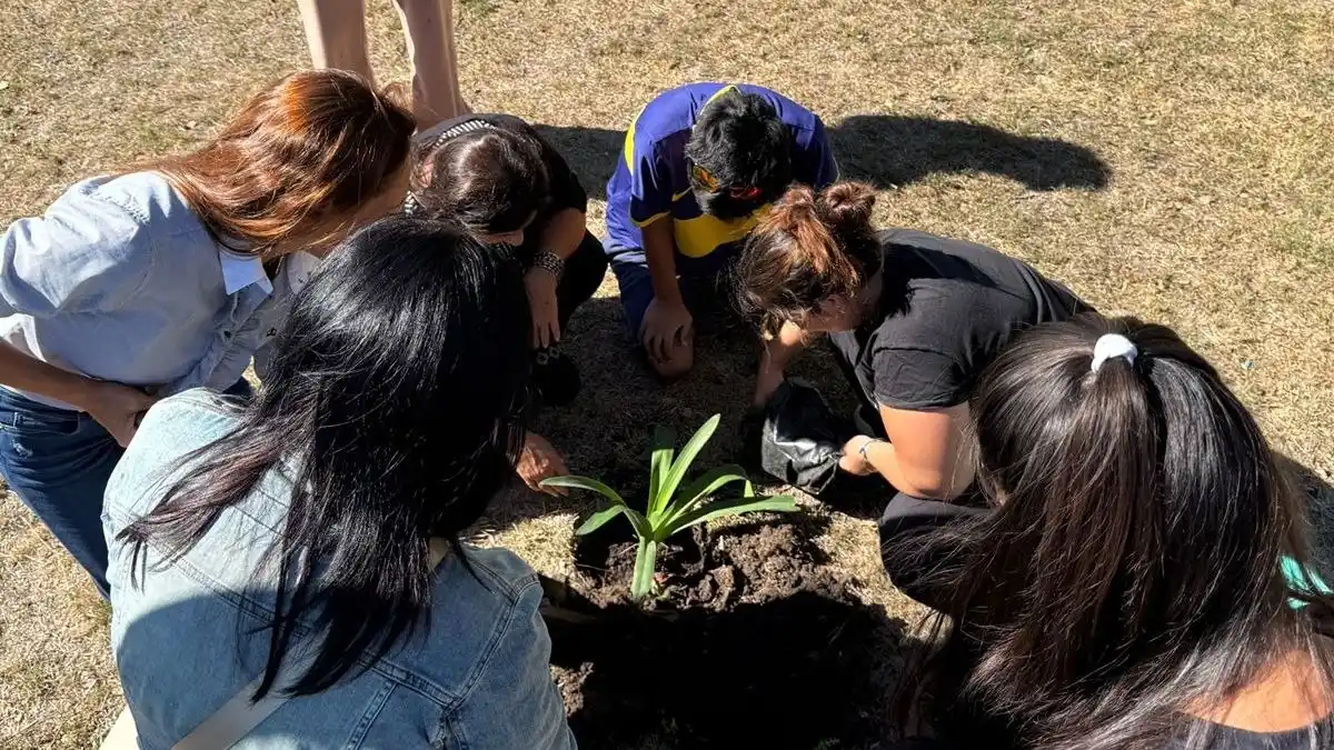 Chicos con discapcidad forestando