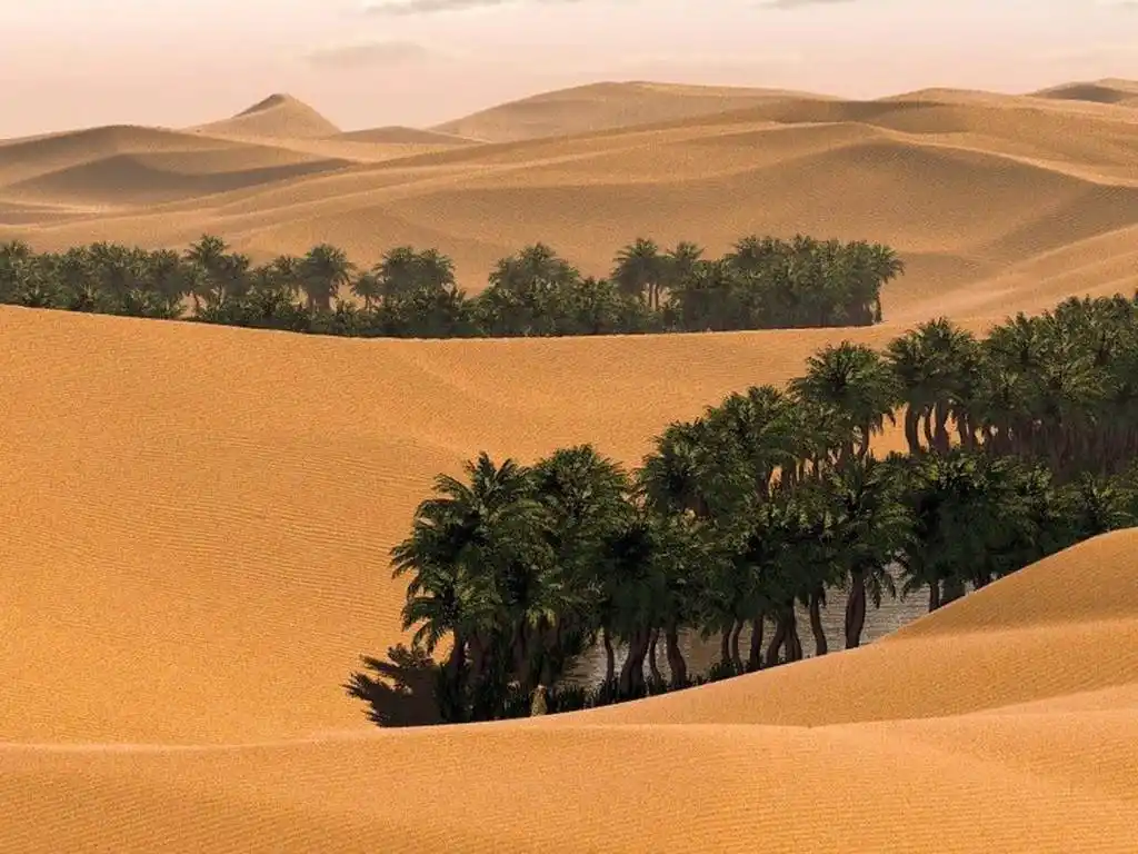 ¡ÁRBOLES EN EL DESIERTO! Millones de plantas en el Sahara