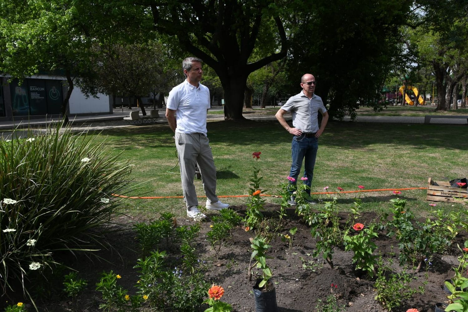 El intendente Damián Bernarte recorrió los trabajos de embellecimiento de la Plaza Cívica