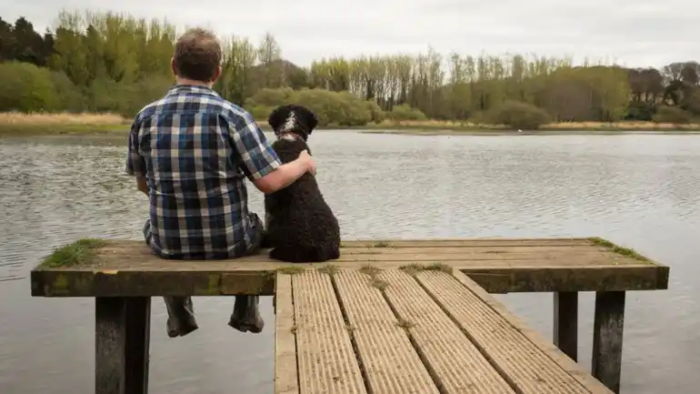 Por qué se puede amar más a un perro que a un amigo