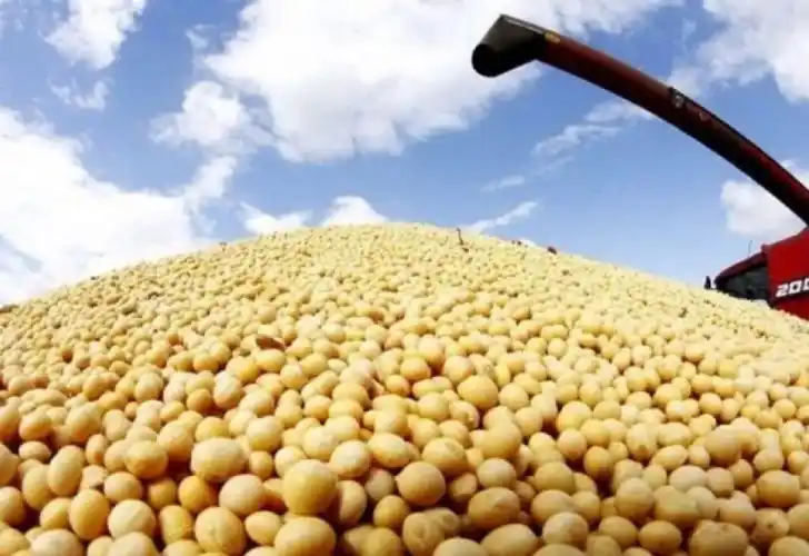 Stocks24 detalla el precio récord de la soja