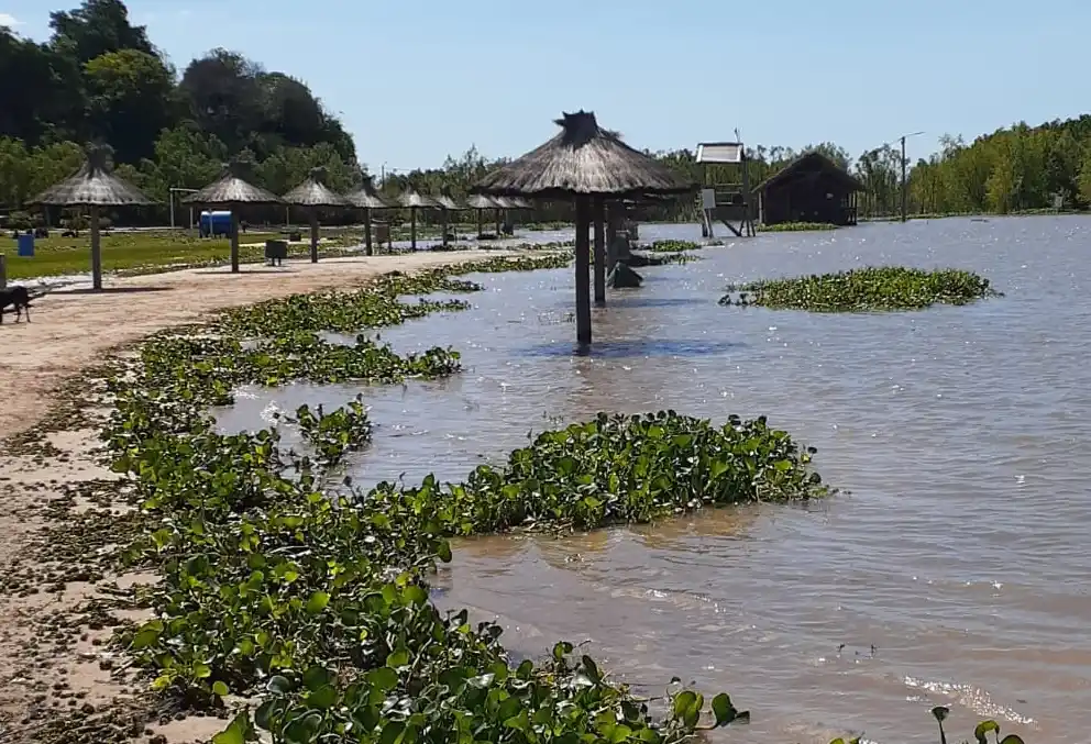 ¿Nos quedamos sin playa?