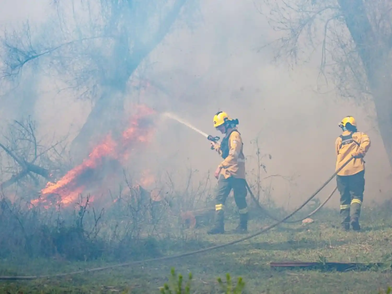 Entre Ríos envía a Chubut brigadistas del Plan Provincial del Manejo del Fuego