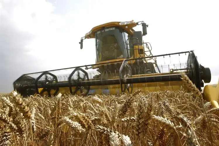Aseguran que el Estado se queda con más del 88 % de la renta agrícola