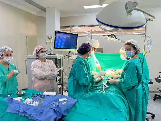 “Maratones quirúrgicas”: la iniciativa bonaerense que busca reducir tiempos de espera para operaciones simples