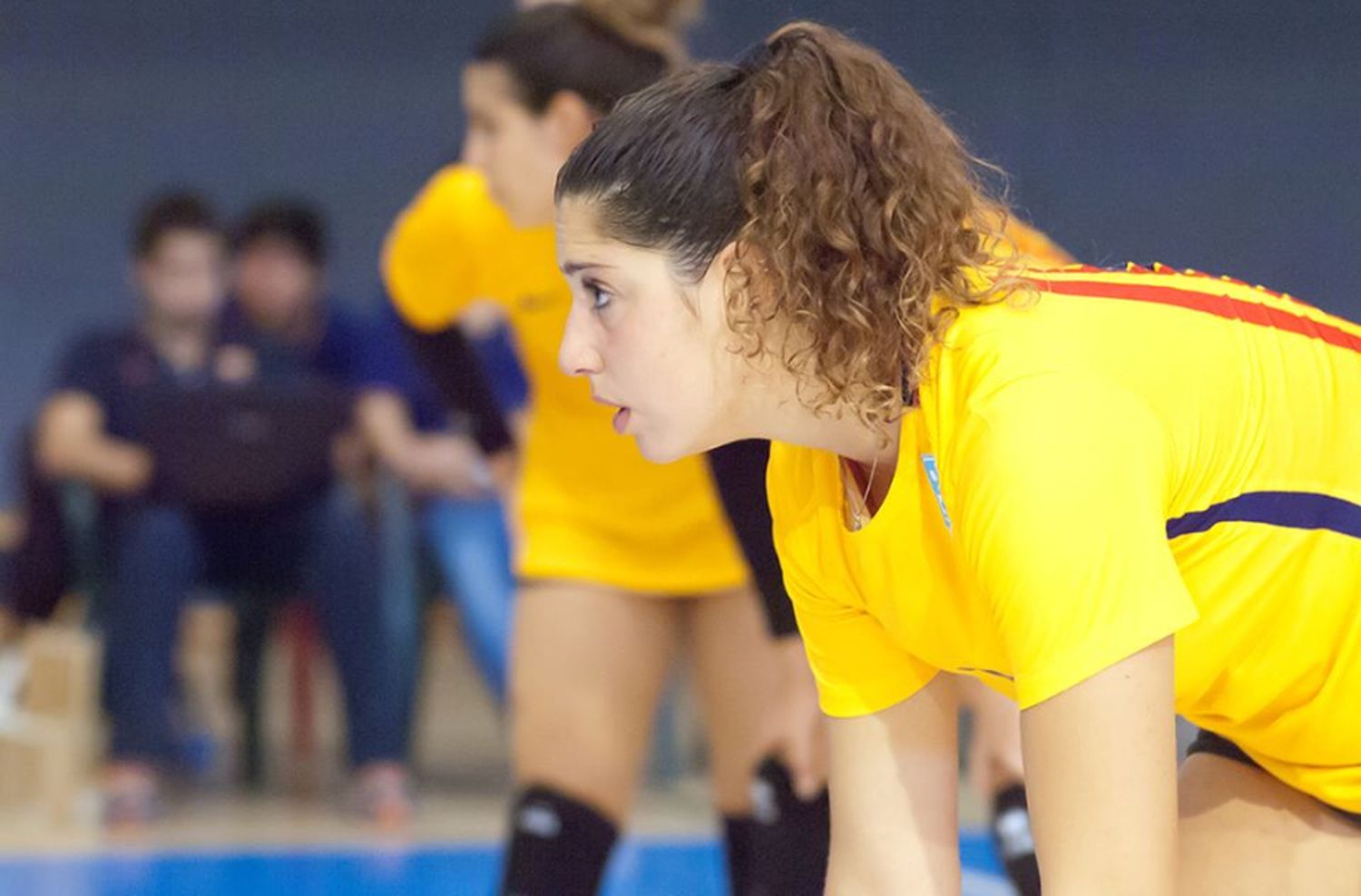 Voley: de Mar del Plata al profesionalismo en España