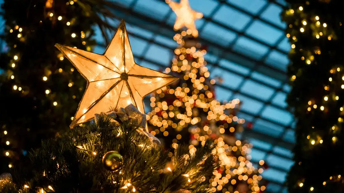 estrella de navidad