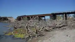 Puente Pellegrini: Morchio solicitó su reparación