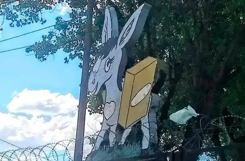 Insólito: empleados de Cachamai llegaron a trabajar y se dieron cuenta que le habían robado dos burros