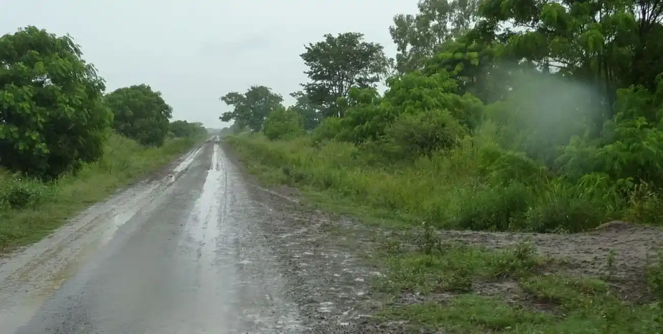 Los registros pluviales no fueron parejos, pero representaron un alivio para los productores del agro.