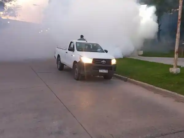 En Clorinda refuerzan la prevención contra
el dengue ante la invasión de mosquitos