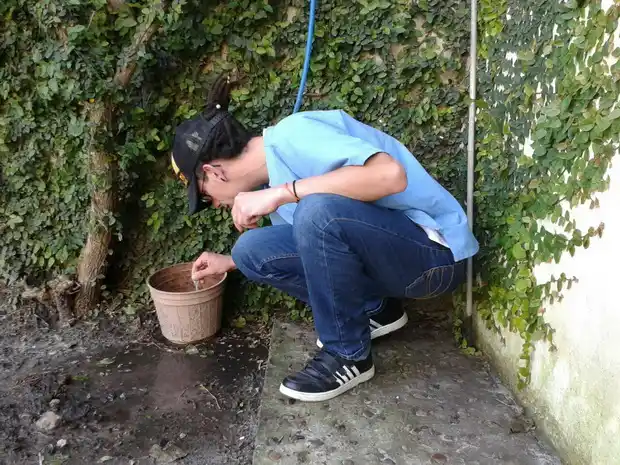 Este lunes comienza el 10° LIRAa en el marco de la lucha contra el dengue