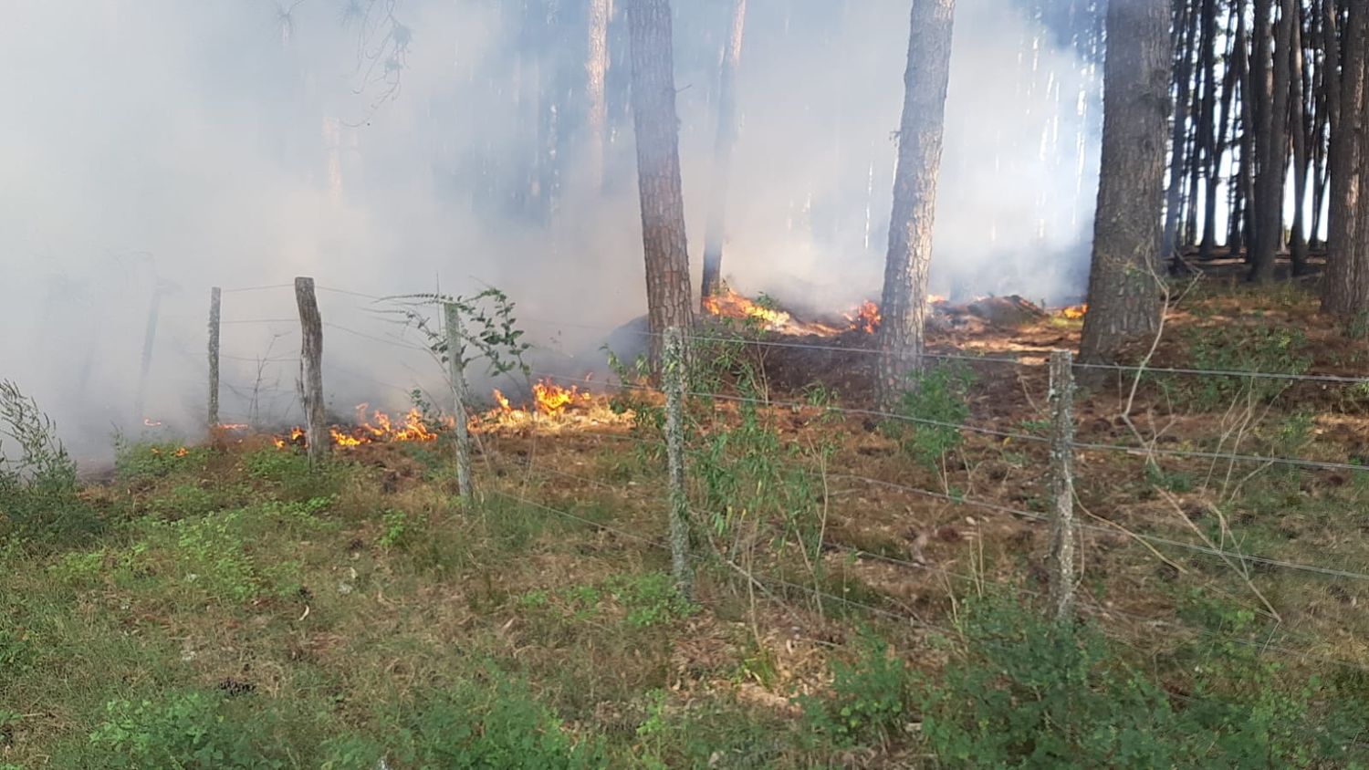 Por novena vez acuden los Bomberos de Ceibas al mismo lugar por incendio