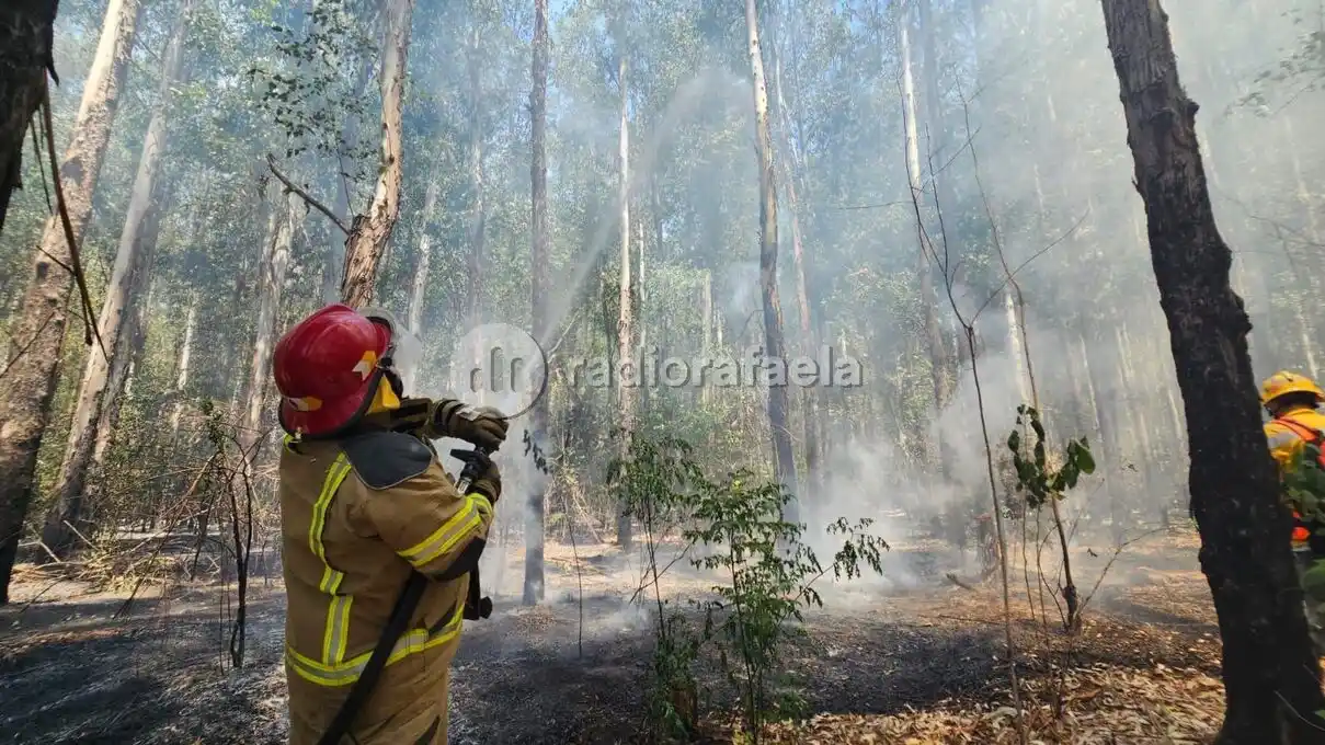 Gran labor de brigadistas santafesinos para sofocar el incendio