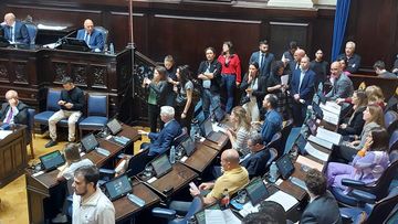 Cano Kelly celebró la ley de acompañantes terapéuticos y lanzó: “Mientras recortan discapacidad, Karina se queda con 3%”