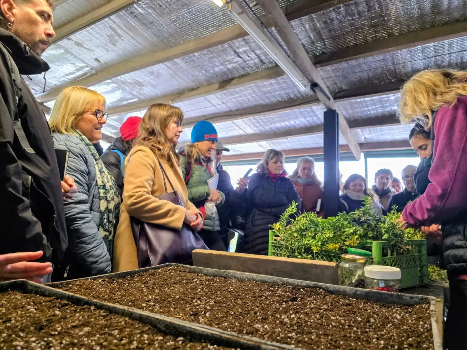 El ciclo busca acercar a la comunidad conocimientos sobre jardinería, arbolado y paisaje mediante encuentros teórico-prácticos.
