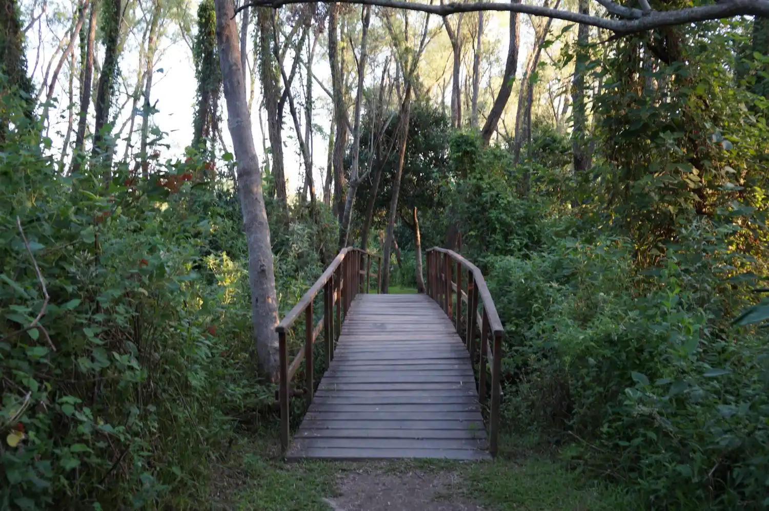 Propuestas para disfrutar las vacaciones de invierno