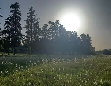 Mañana soleada en la ciudad.