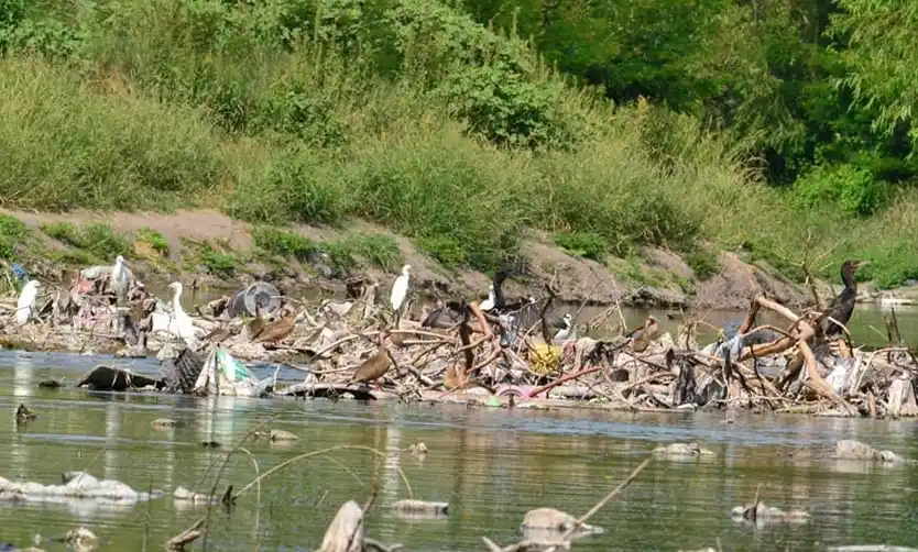 La Reserva Natural reflexiona sobre la contaminación por plásticos