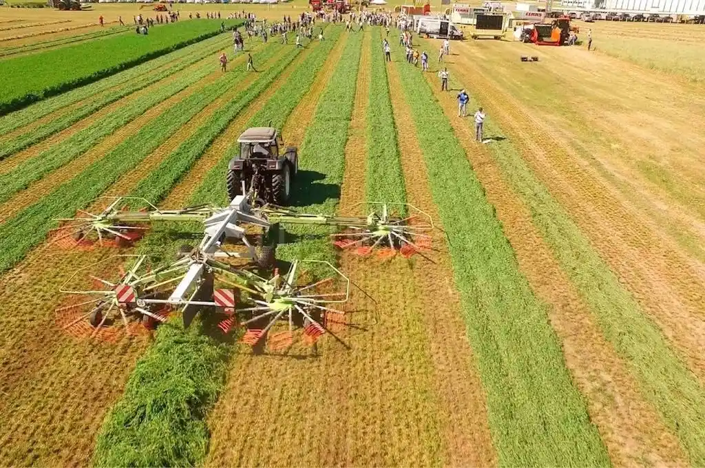 Una experiencia tecnológica que se consolida