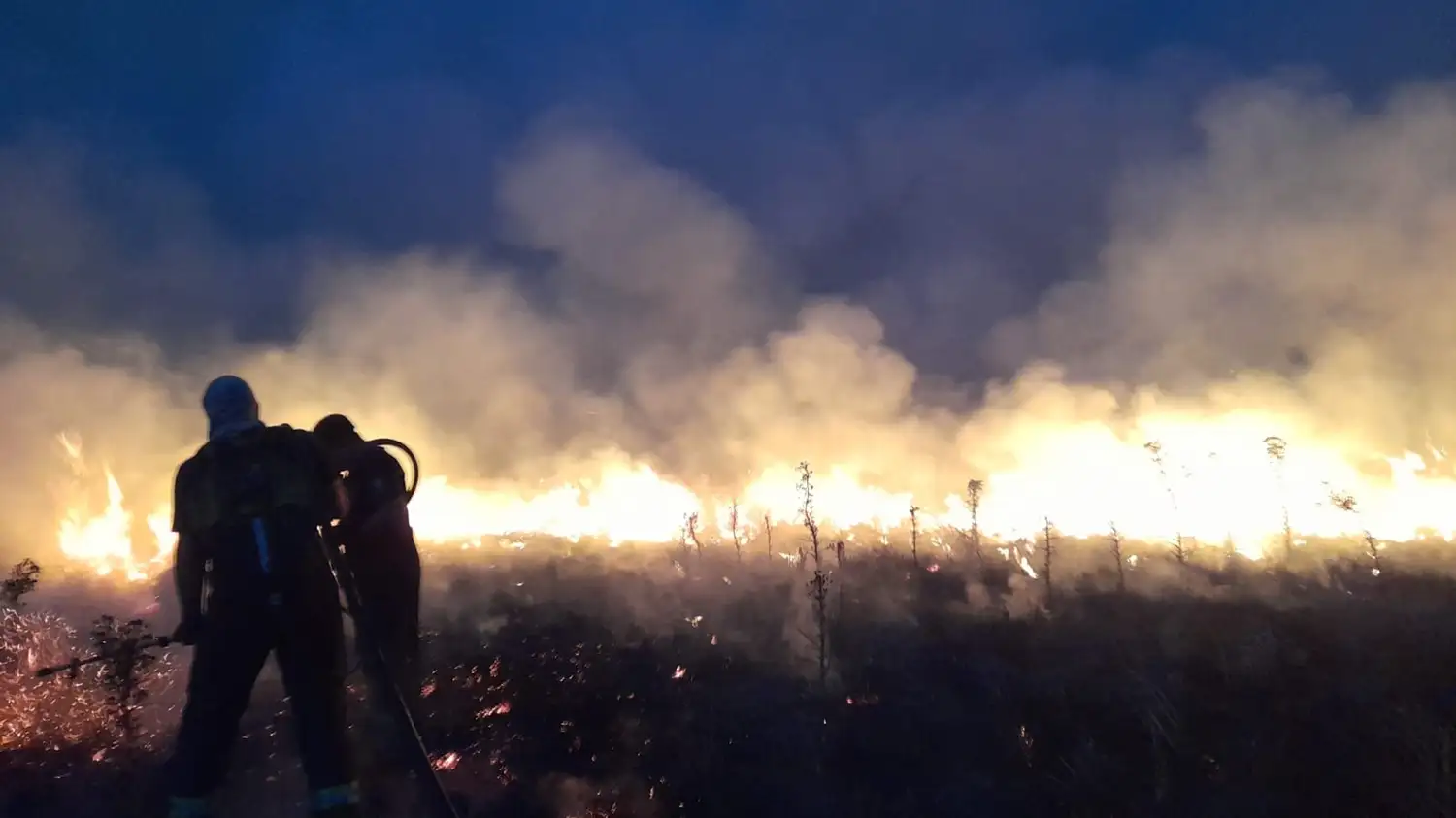 Bomberos trabajaron por ocho horas para extinguir el foco ígneo en su totalidad.