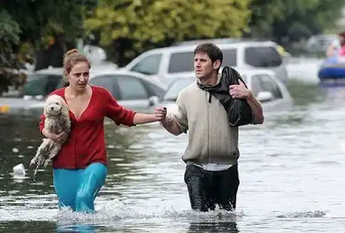 La Plata: hay 25 mil perros afectados por la inundación