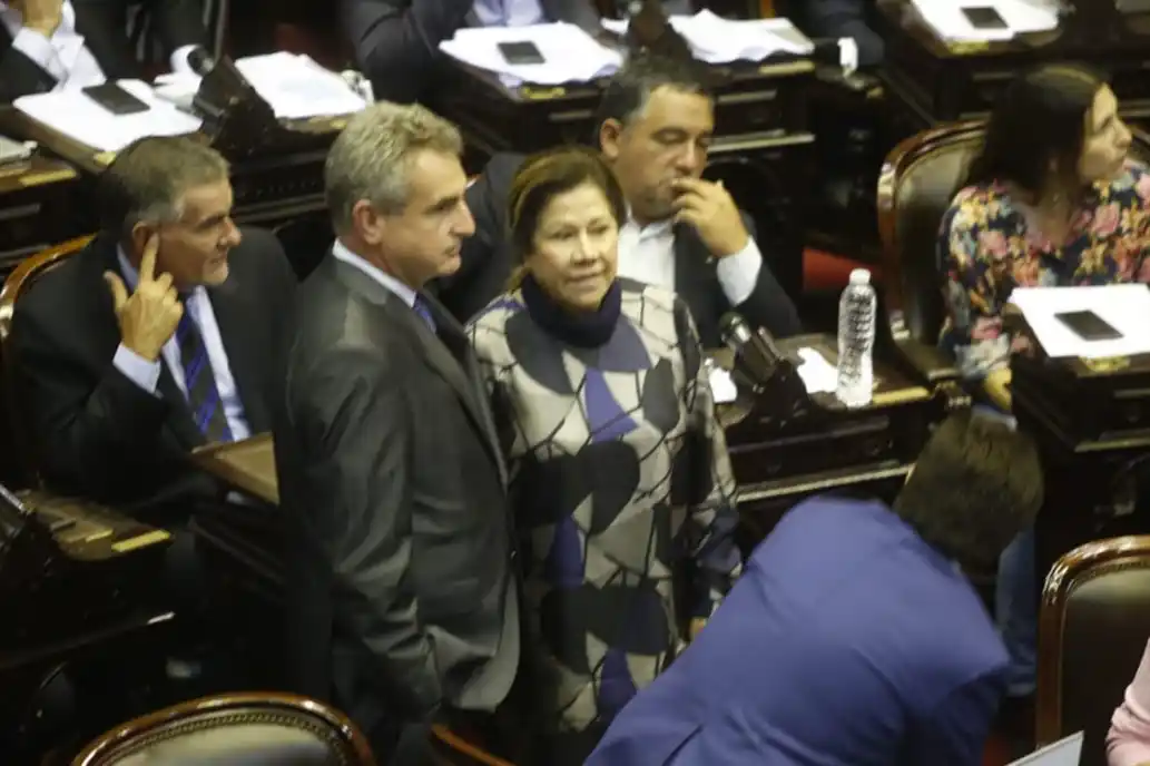 Camaño: "Hubo una maniobra del Gobierno para evitar que este tema se trate en el recinto"