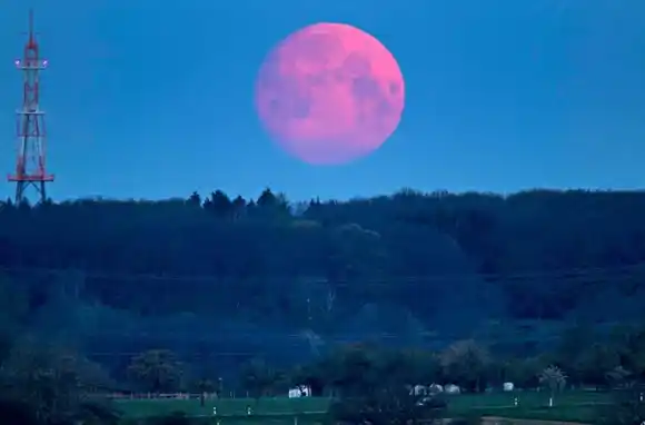 Superluna rosa: el satélite se verá hoy un 12% más grande