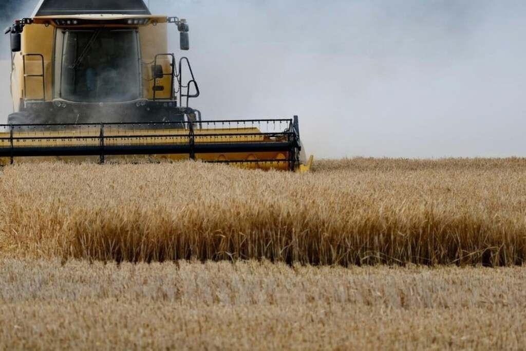 FInaliza la cosecha de trigo con cifras record