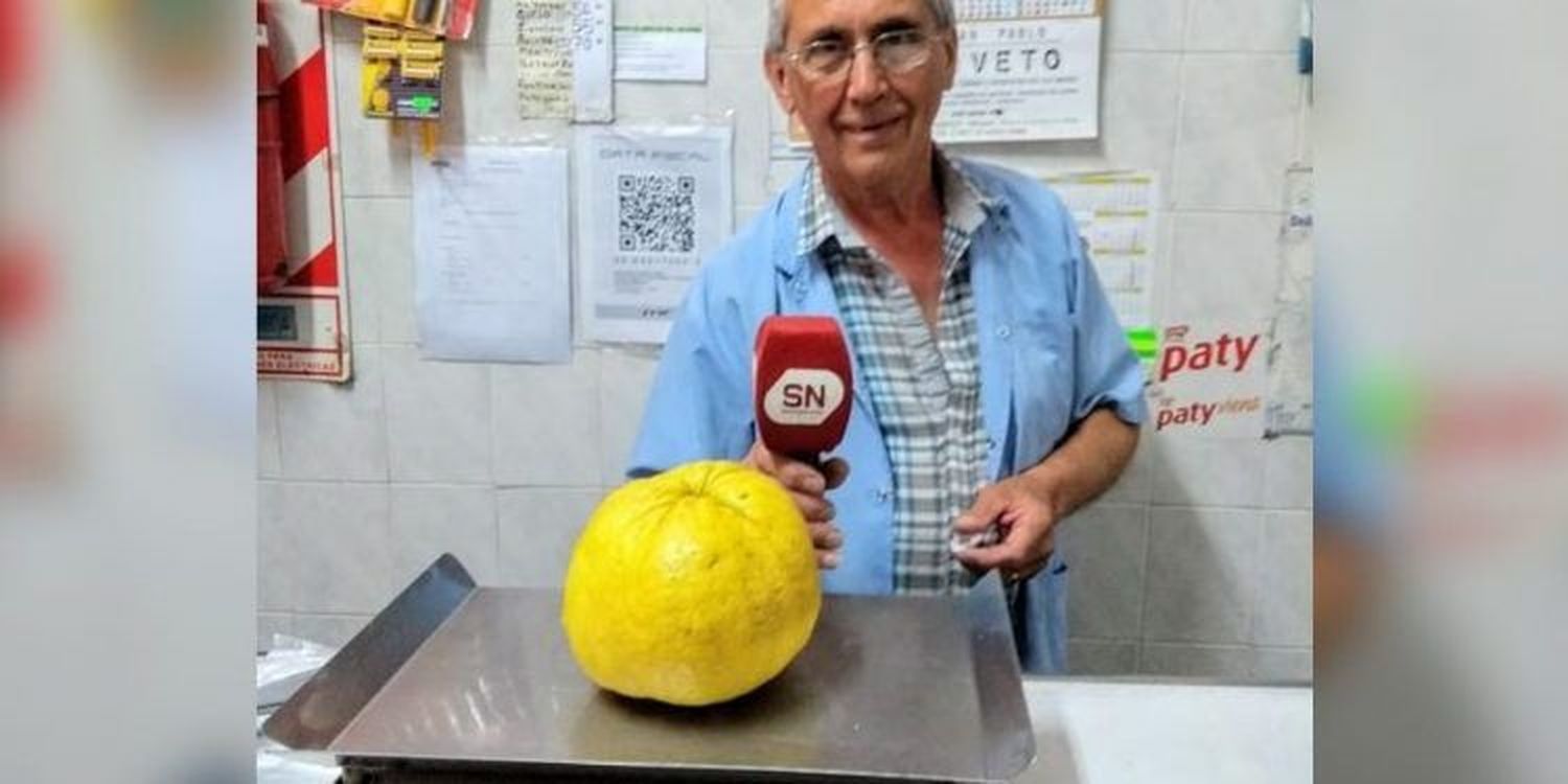 Qué pedazo de limón: Un vecino de Chascomús cosechó un cítrico de 1 kilo y cuarto