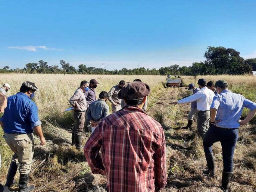 Se realizó un plenario de experiencias sobre la plantación y manejo del tangola