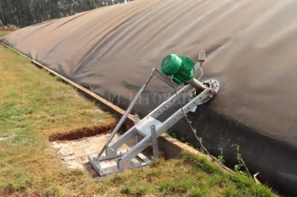 Biodigestor: qué tener en cuenta a la hora de invertir en uno