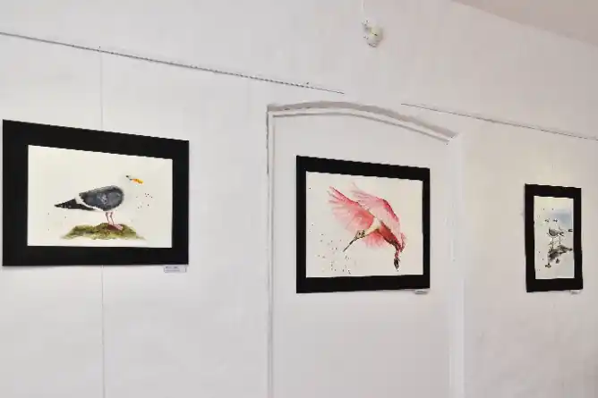 Proyectos de artes visuales de la municipalidad: los artistas inscriptos serán parte de la programación 2025