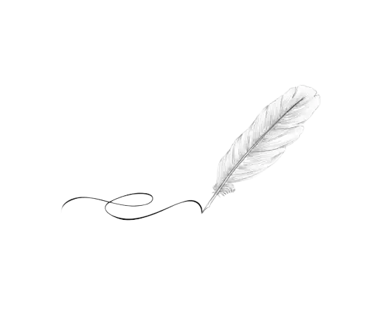 El borrador de la historia