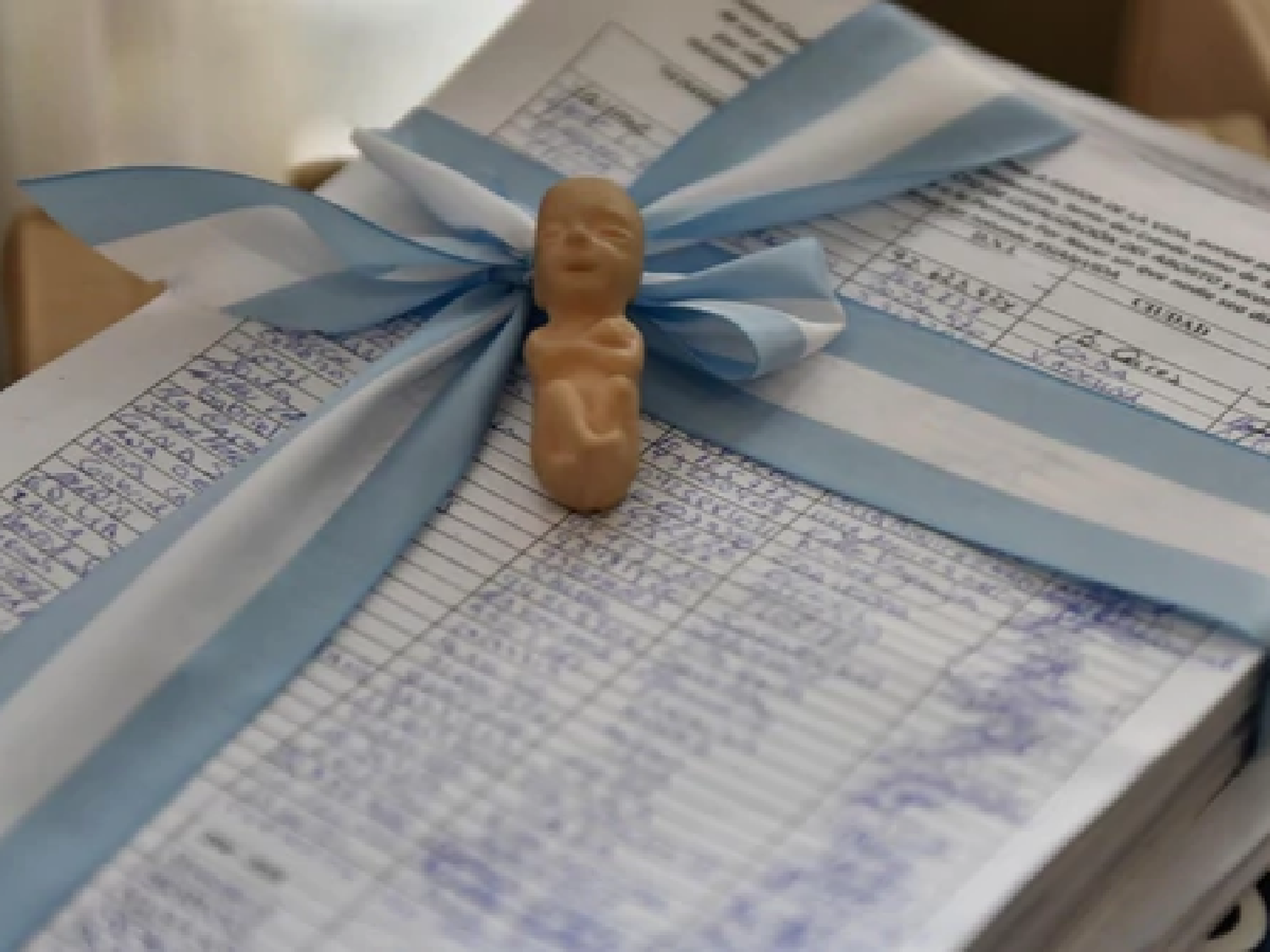 Presentaron más de 400 mil firmas contra la despenalización del aborto