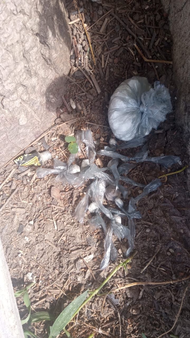 Narcomenudeo: la Policía encontró a dos personas comercializando cocaína en un barrio de la ciudad