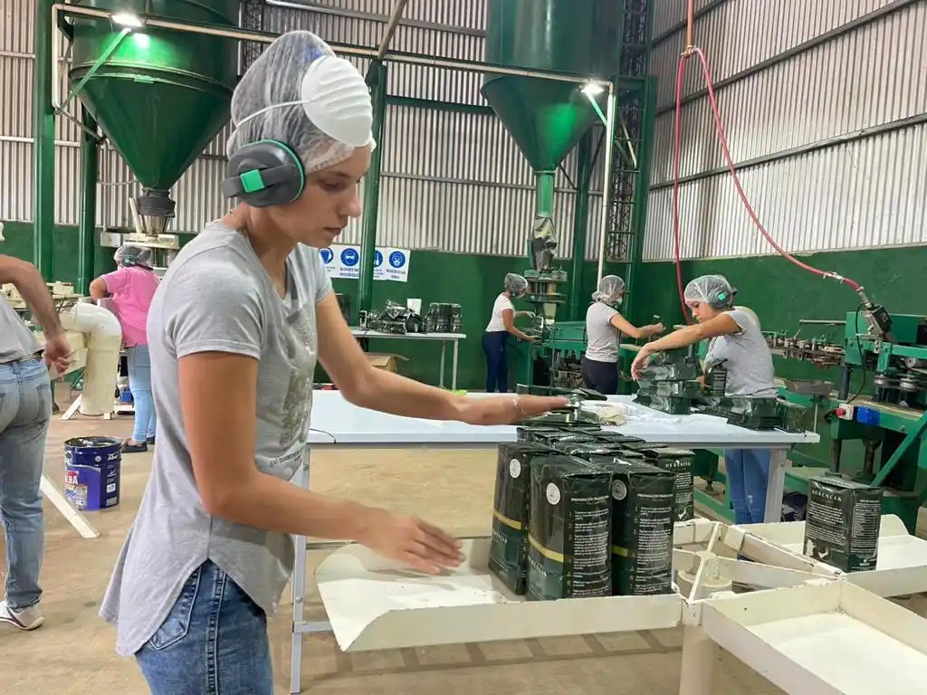 Aumento del precio de la materia prima genera preocupación en la cadena industrial y comercial de la yerba mate