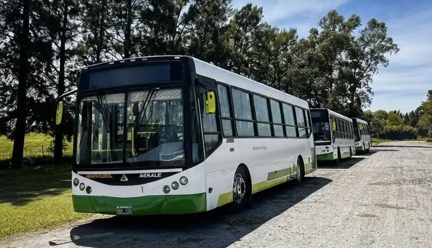 La línea 381 refuerza su servicio en verano y suma unidades con aire acondicionado y Wi-Fi