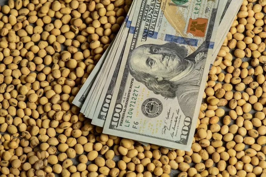 Dólar soja para todos: a cuánto quedaría el dólar para exportar