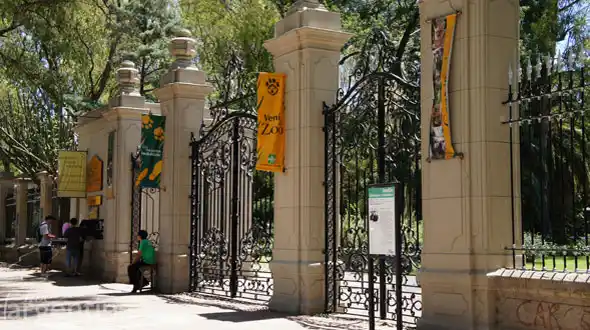 Misterio: Escaparon 4 monos del Zoológico de La Plata