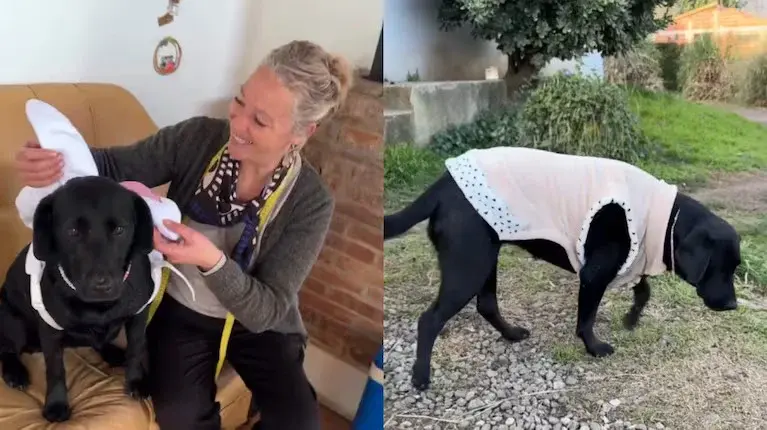 De hobby a fenómeno viral: la cordobesa que triunfa vistiendo o disfrazando a su mascota