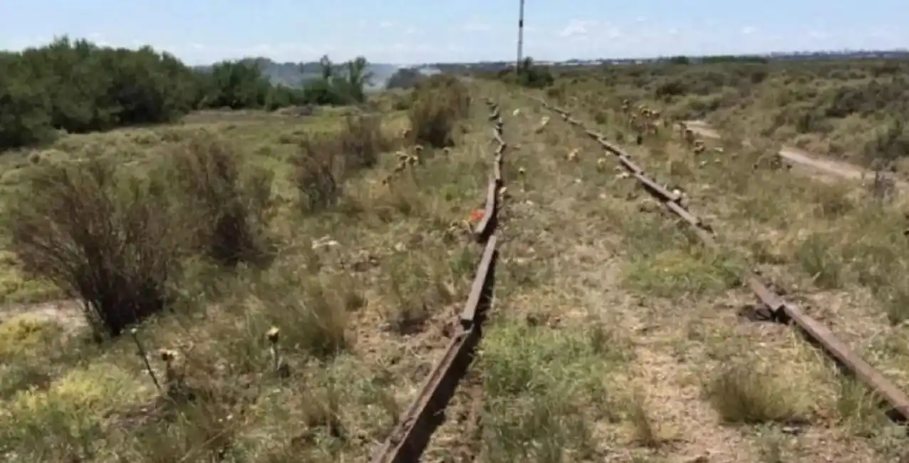 Insólito: se robaron miles de metros de rieles del Tren Patagónico