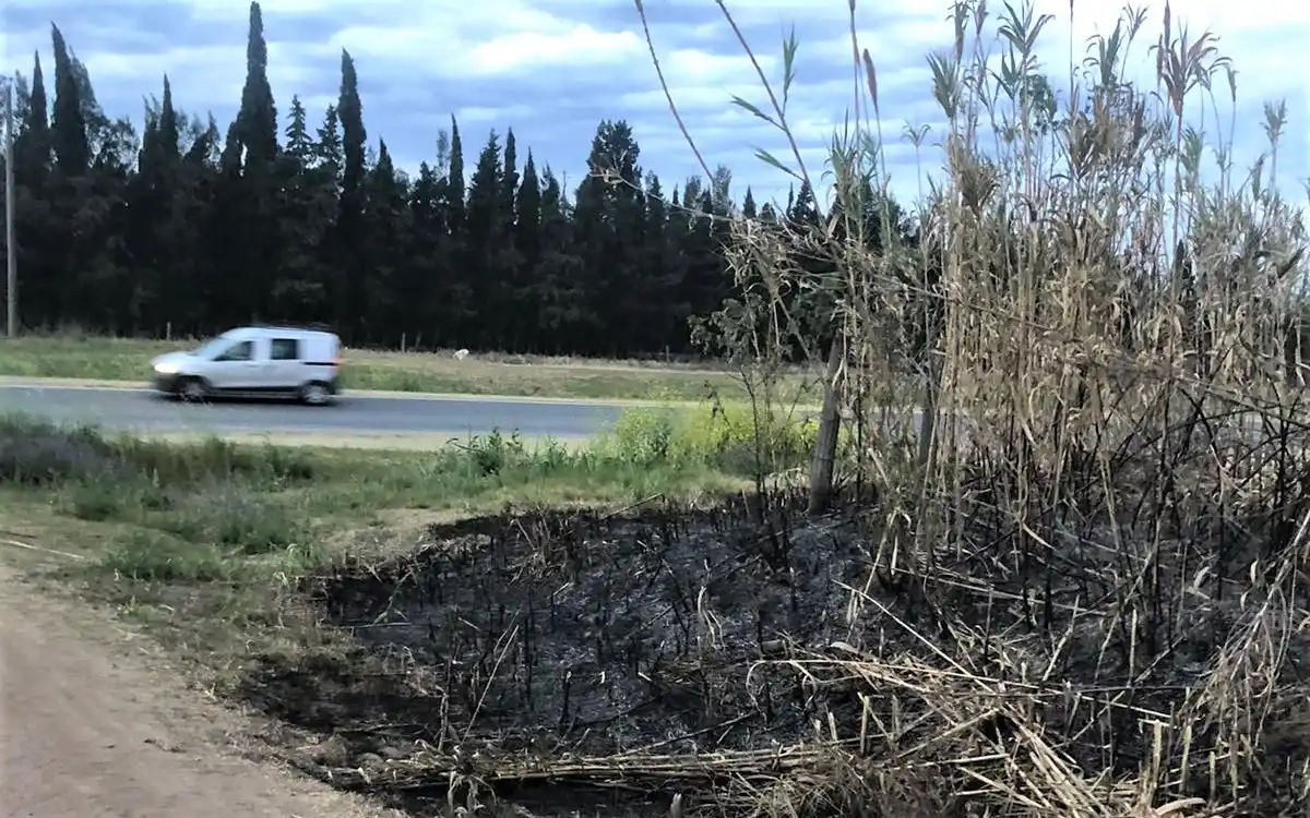 Qué dice la denuncia contra el delegado de Río Tala en la que lo acusan de provocar el incendio de un campo