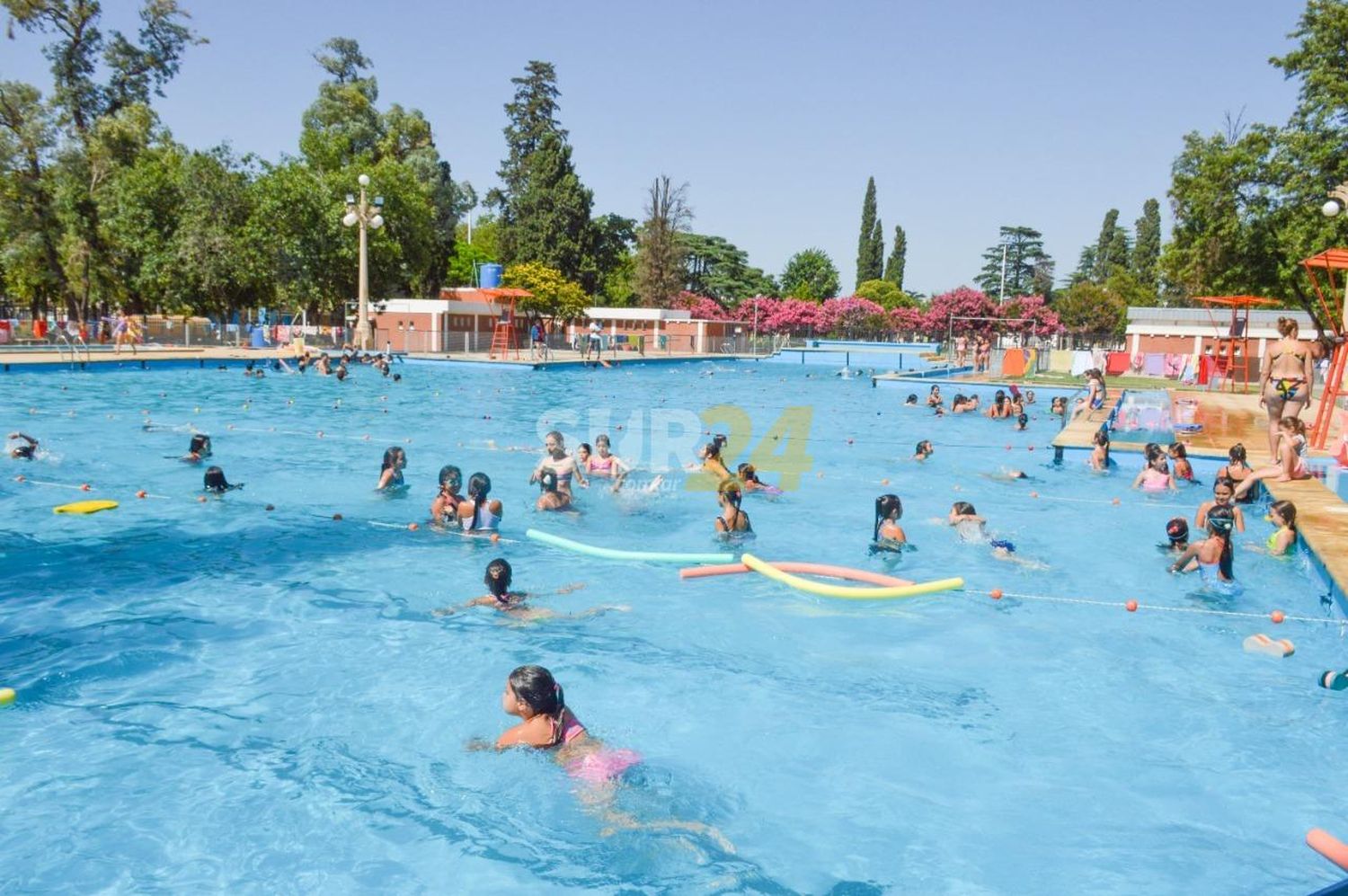 A todo ritmo comenzó esta semana la Colonia del Parque Municipal